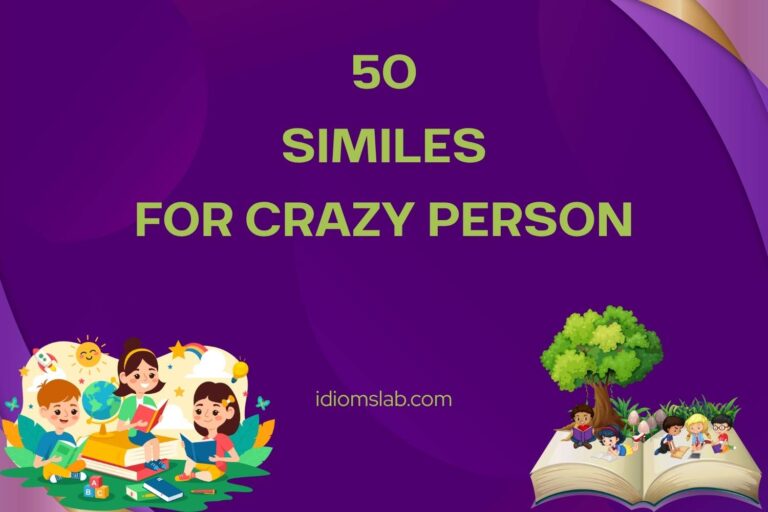 similes for crazy person